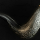 One day, the horn on the cover of Winds of Winter will get to blow.